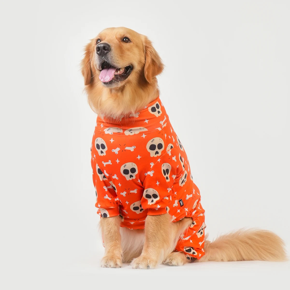 Halloween Dog Costume