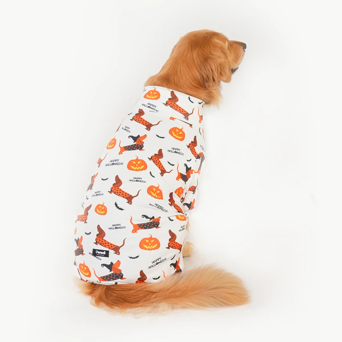 Halloween Dog Costume