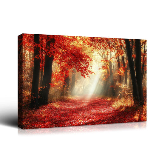 Fall Leaves Sunlit Path Canvas Print