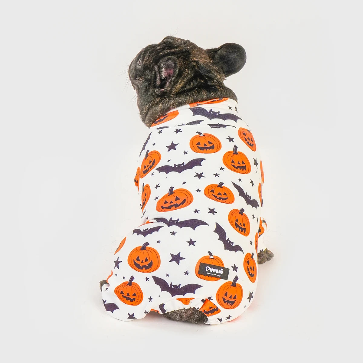 Halloween Dog Costume