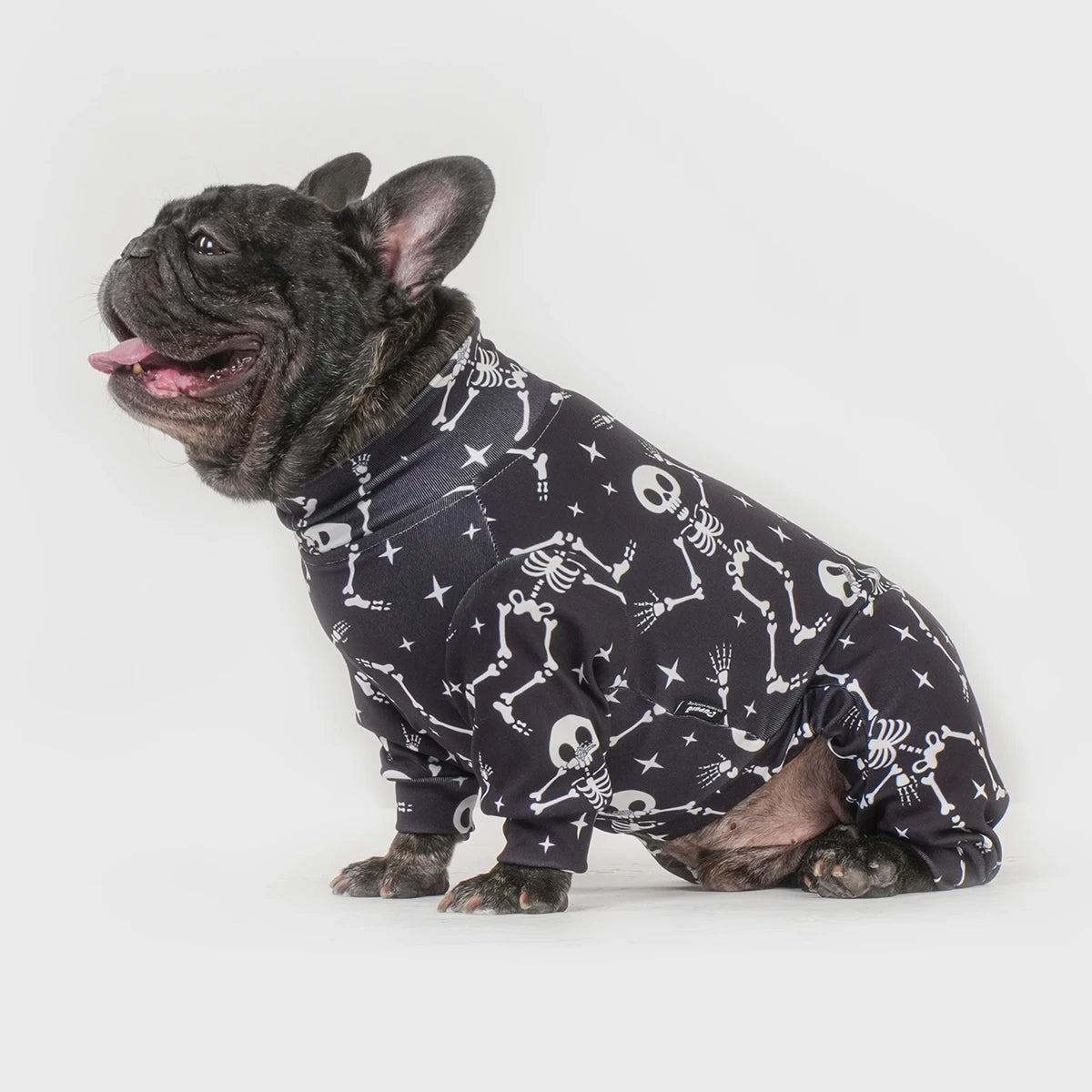 Halloween Dog Costume