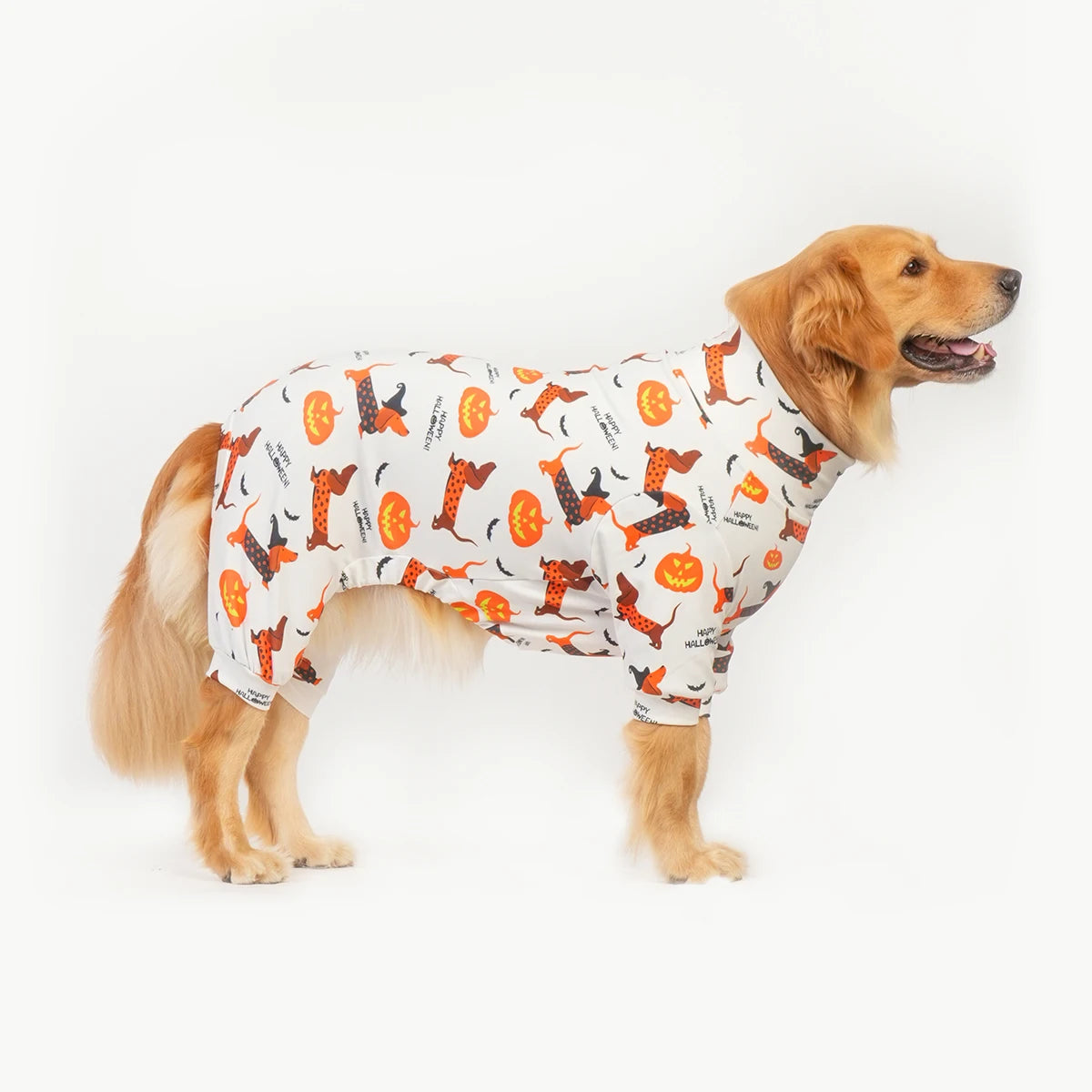 Halloween Dog Costume