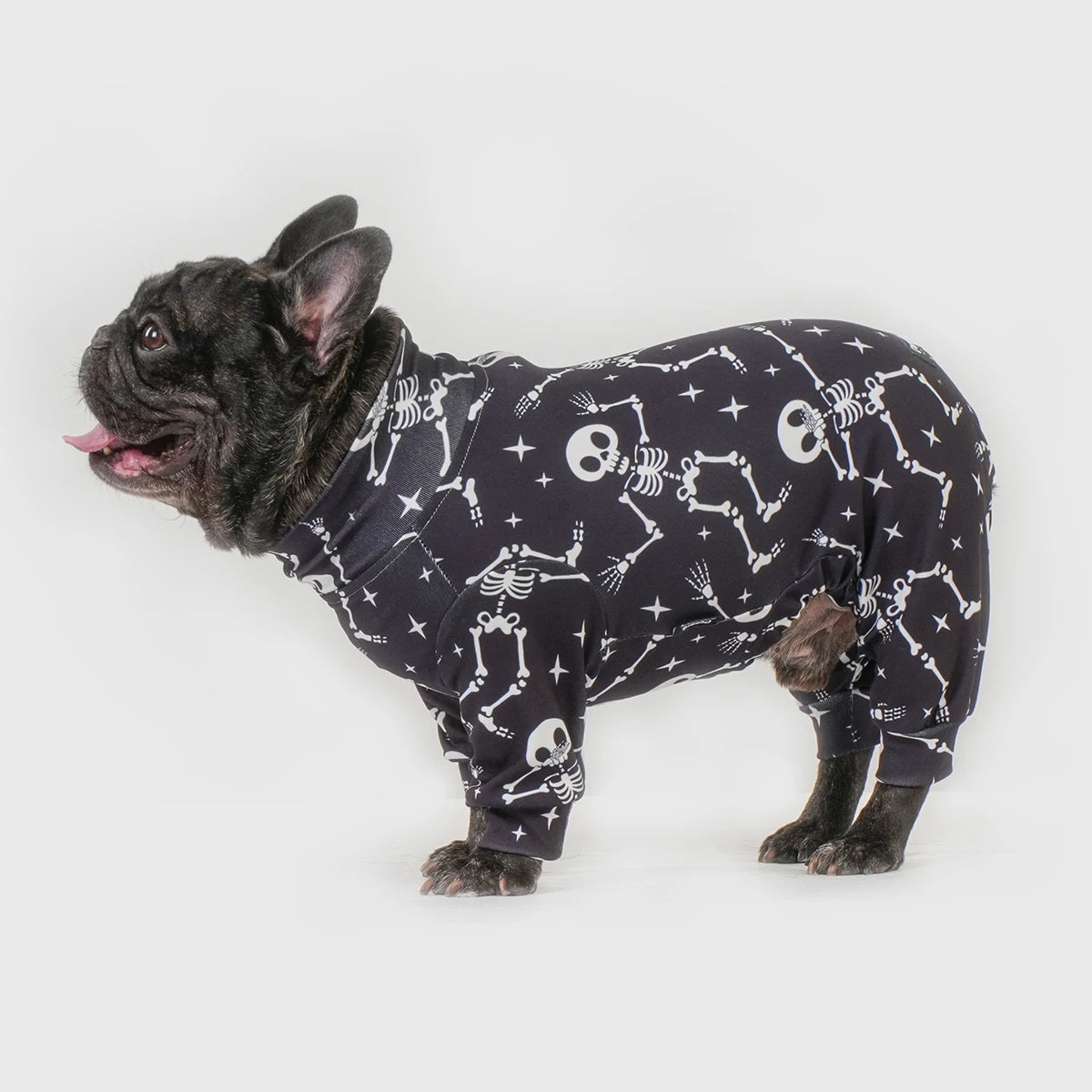 Halloween Dog Costume