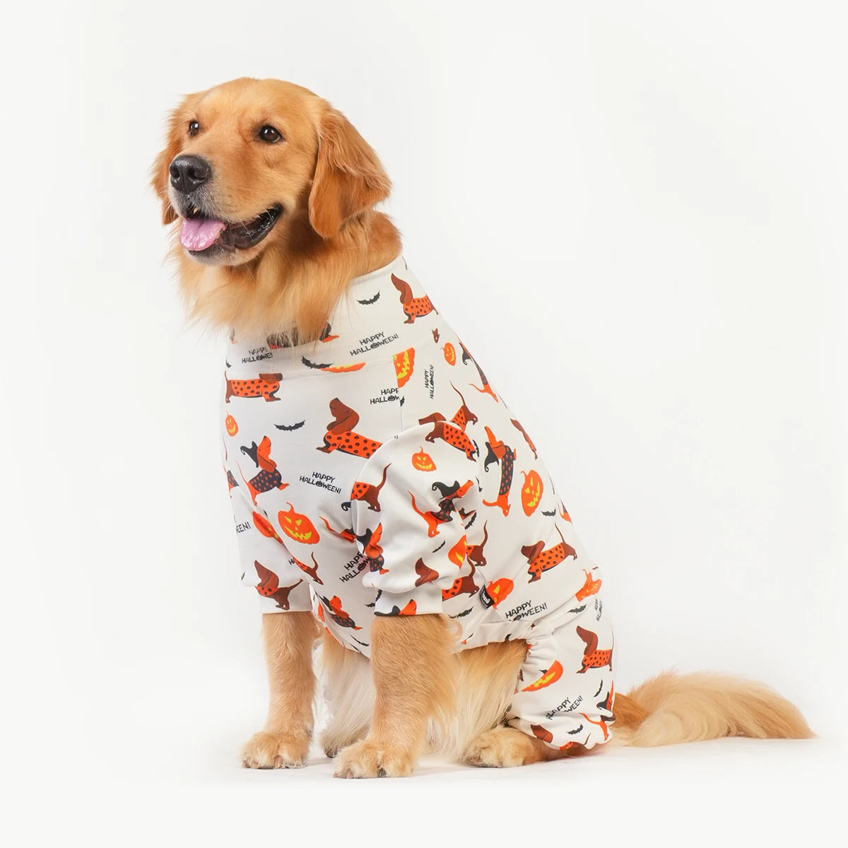 Halloween Dog Costume