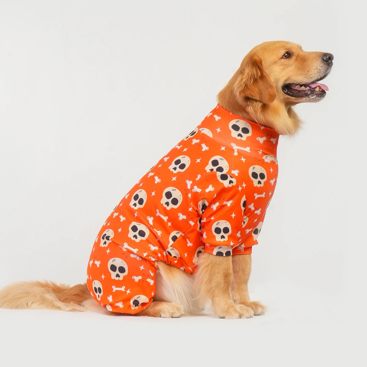 Halloween Dog Costume