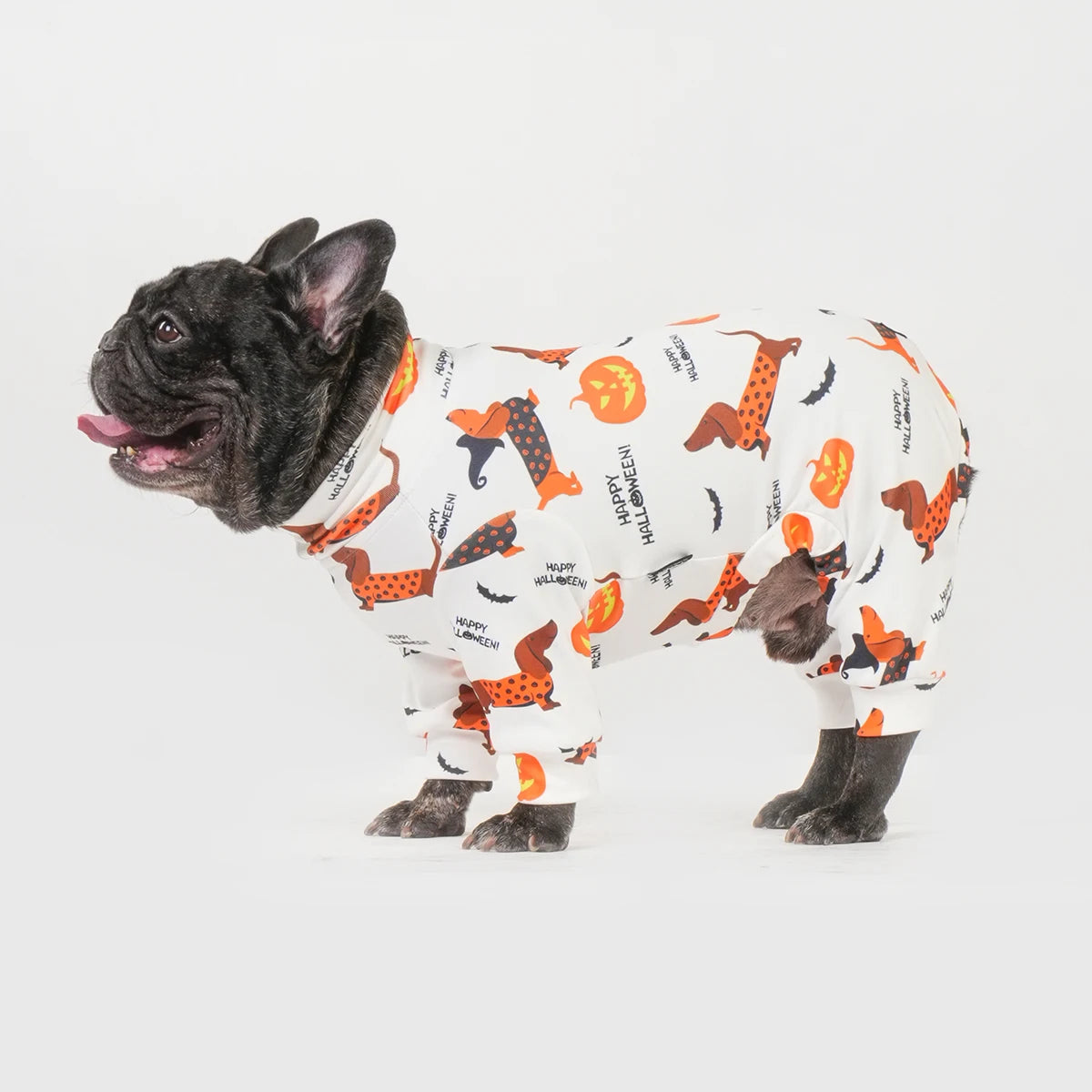 Halloween Dog Costume