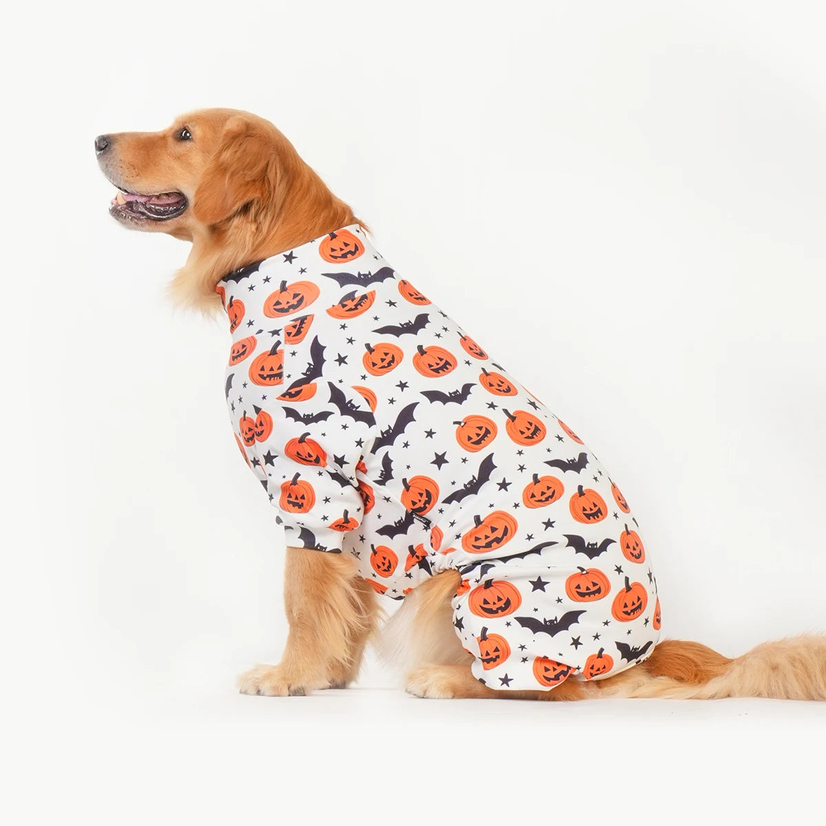 Halloween Dog Costume