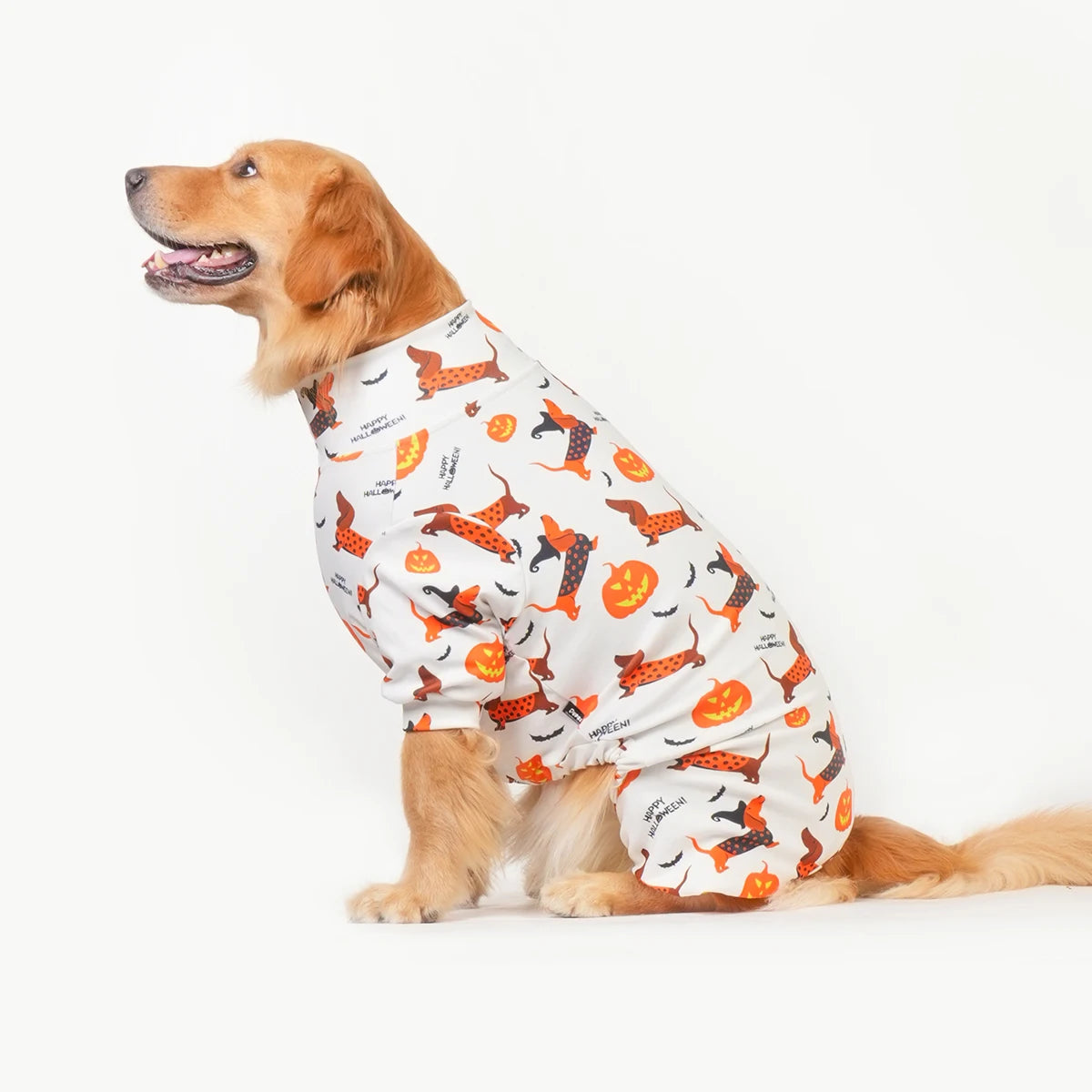 Halloween Dog Costume