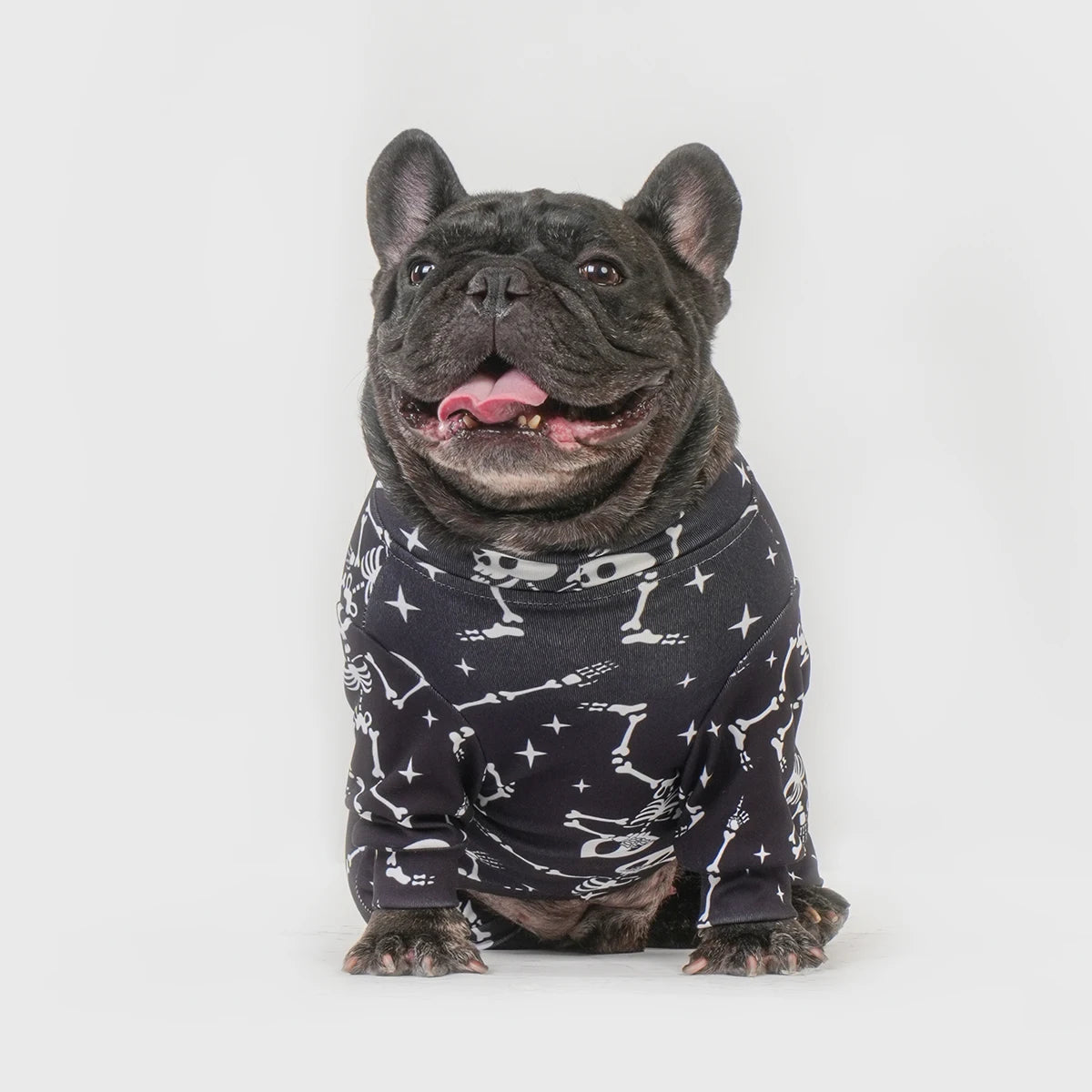 Halloween Dog Costume