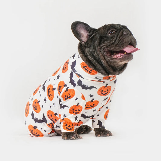 Halloween Dog Costume