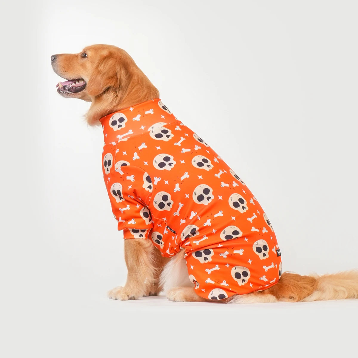 Halloween Dog Costume