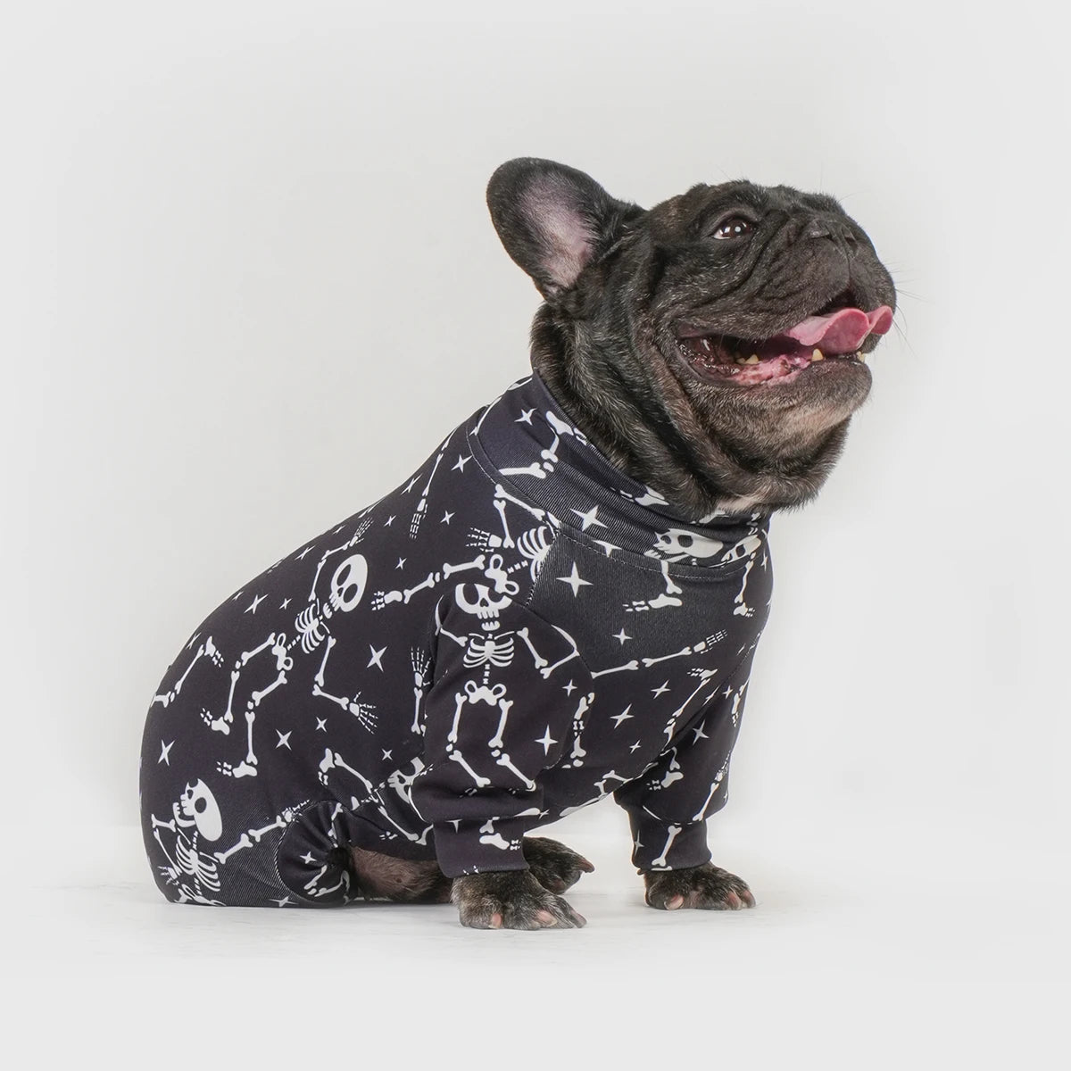 Halloween Dog Costume