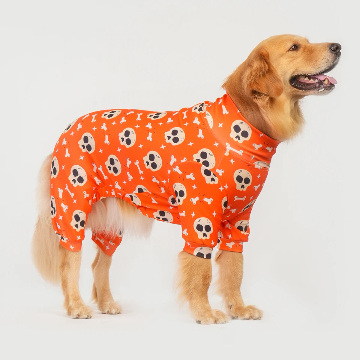 Halloween Dog Costume
