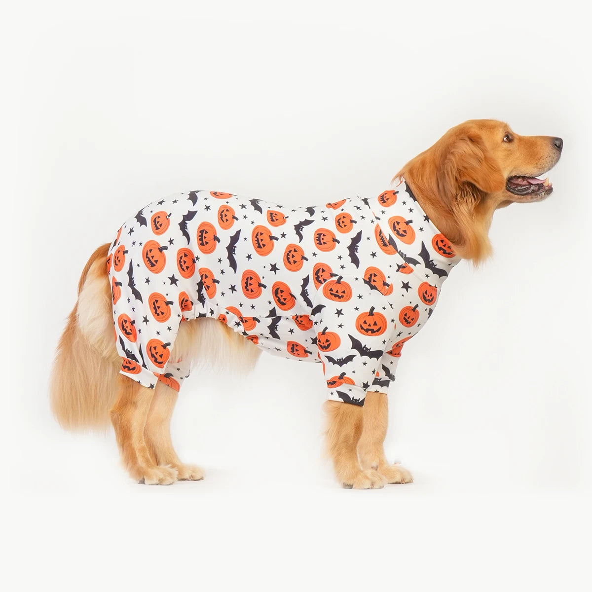 Halloween Dog Costume