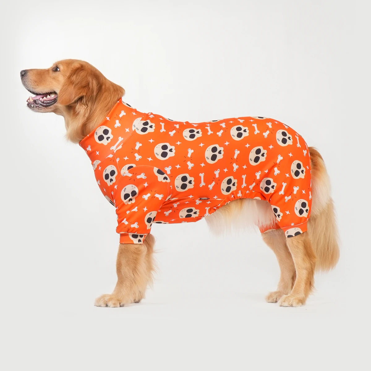 Halloween Dog Costume