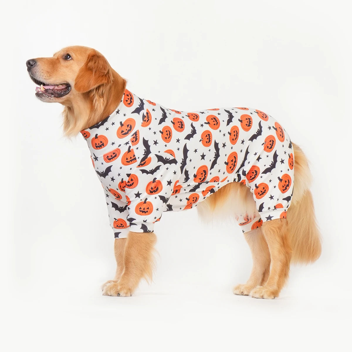 Halloween Dog Costume