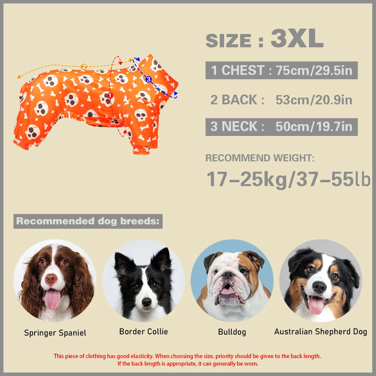 Halloween Dog Costume