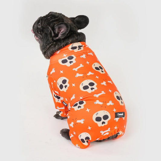 Halloween Dog Costume