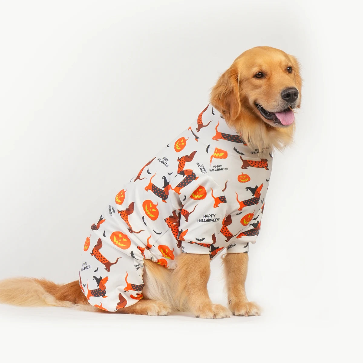 Halloween Dog Costume