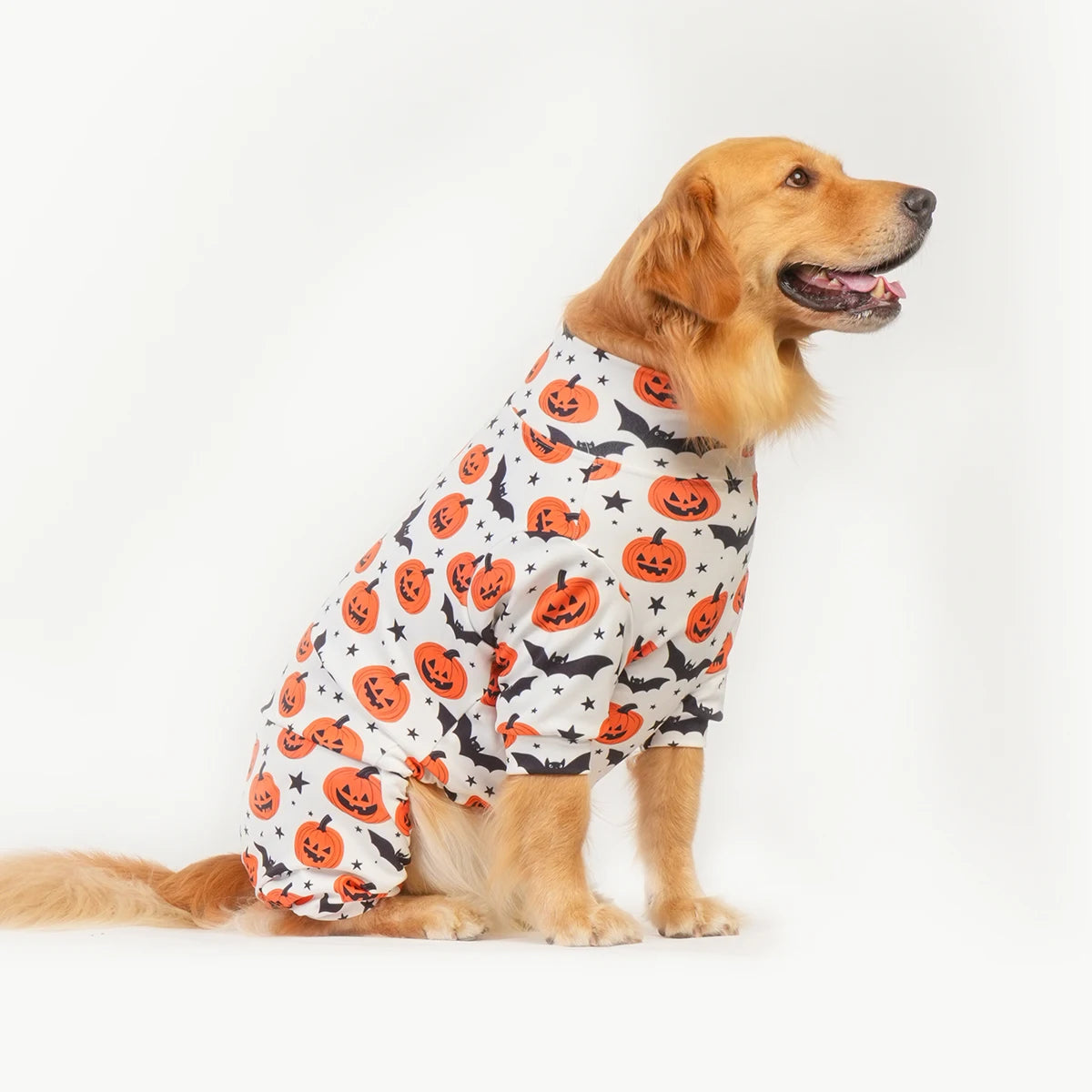 Halloween Dog Costume